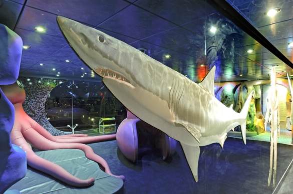 MSC Magnifica - Mini Club 3, MSC Rights.jpg